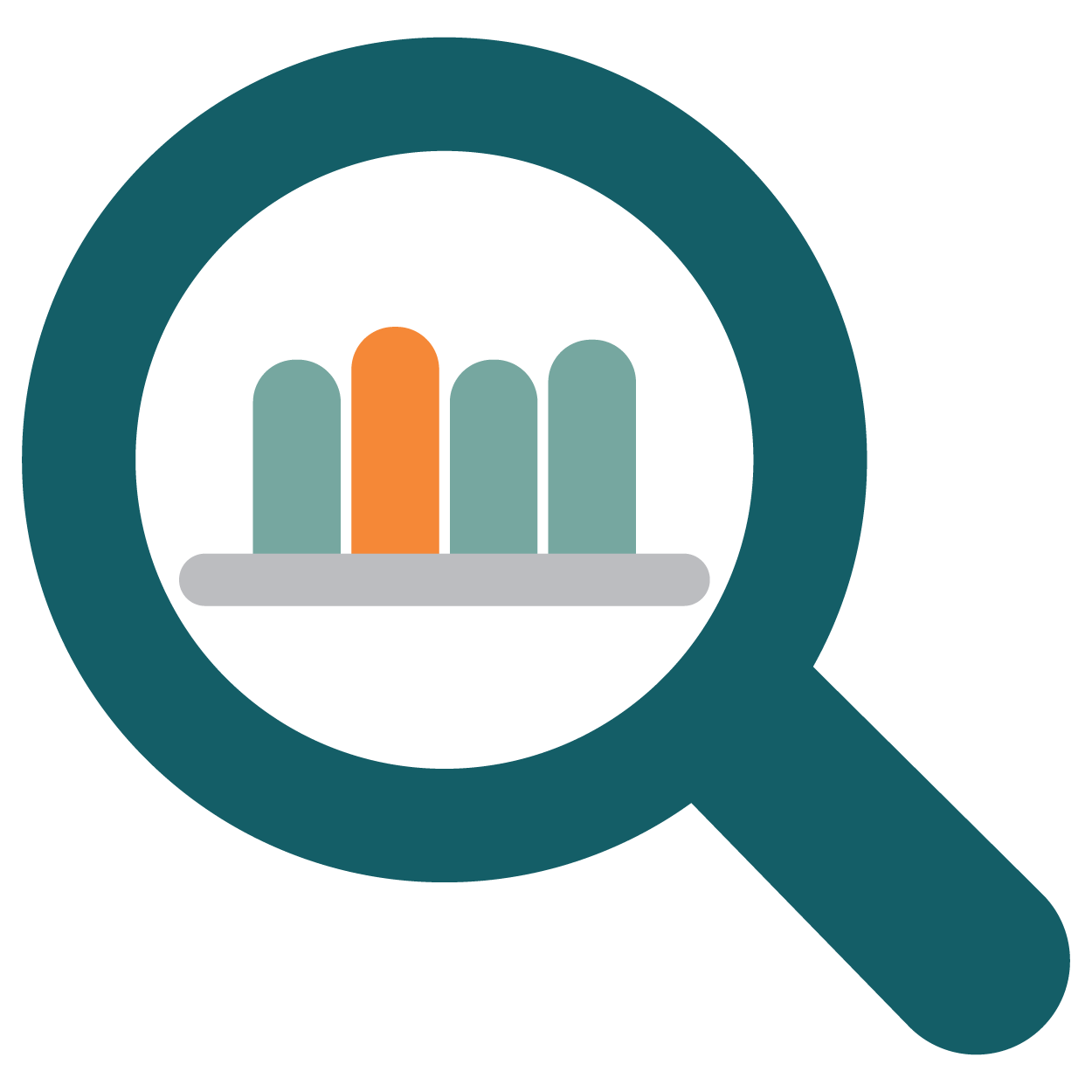 Budget Analysis Icon